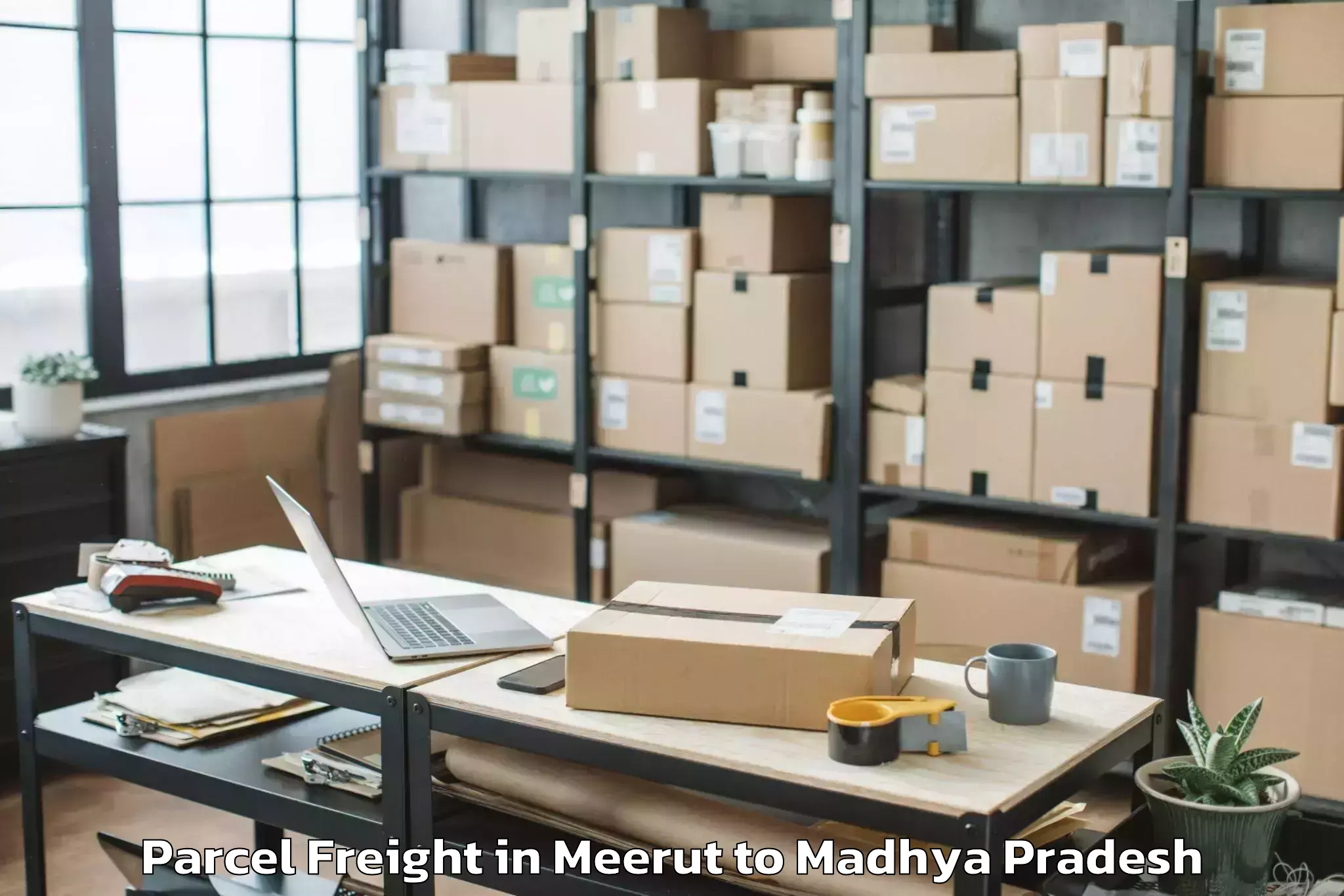 Top Meerut to Dhamnod Parcel Freight Available